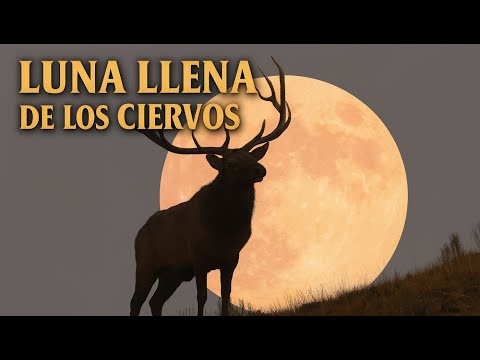 PREDICCIONES MAGICAS DE LA LUNA LLENA DE LOS CIERVOS