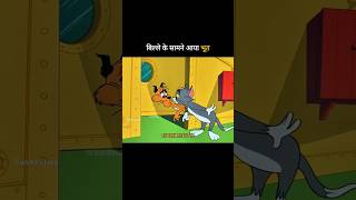बिल्ले के सामने आया भूत 🤣 #shorts #funny #trending #shortsfeed