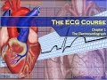 EKG Interpretation and Heart Rate Calculation