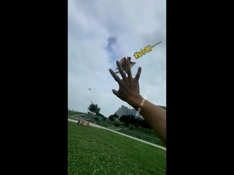 Flying Sugar Glider # Flying Throw # Charming Pet's Confused Behaviors # Little Flying Mouse