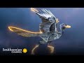 Dinosaurs and the Evolution of Birds
