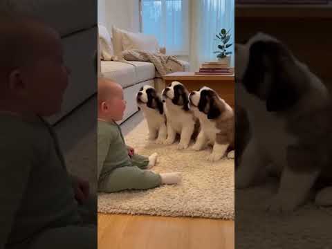 This is so cute 😍 ❤️ #baby #cutebaby #cutebabies