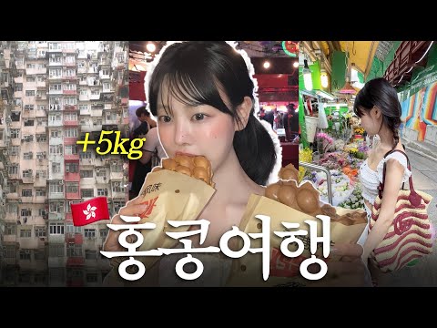 들어는 봤니..? 홍콩 클럽🔞🇭🇰🪩🎶… 가족이랑 클럽 간 썰 푼다 ep.2 홍콩 여행 vlog