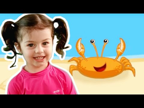 Caranguejo peixe é ( roda roda roda) - Música infantil - Mimi Julinha