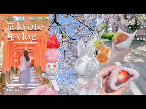 JAPAN VLOG ⛩: a day in kyoto, fushimi inari, miffy kitchen, sakura, arashiyama bamboo forest, mochi