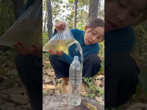 Survival Skills: easy methood saving water transfer to bottle #camping #bushcraft #survival