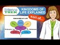 Understanding Taxonomy and Classification