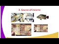 Aquaculture and Fish Farming Concepts