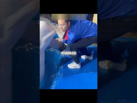 Beluga’s Reaction Was Priceless 😂