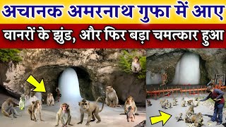 अचानक अमरनाथ गुफा पहुंचा सैकड़ों वानरों का झुंड, पूरे देशवासियों की बड़ी खुशखबरी, Mahadev Chamatkar 