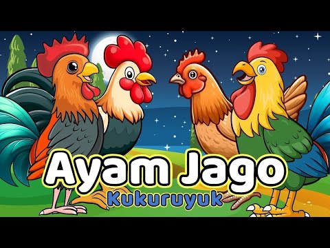 Lagu Anak 🇮🇩 Kuku Kukuruyuk - Lagu Ayam Jago Dan pok Ame Ame Cilukba - Lagu Anak Indonesia