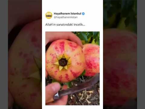 Allah'ın Sanatındaki İncelik...