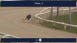 Newcastle Trials on 14th July 2026