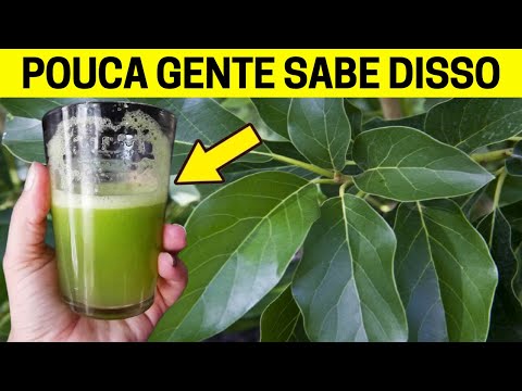 1 Folha Destrói Diabetes, Inchaço, Limpa os Rins Fígado e Diminui a Pressão Alta (Você Sabia disso?)