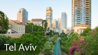 Evening Magic in Tel Aviv — Urban calm among lights, cafés, and quiet streets.