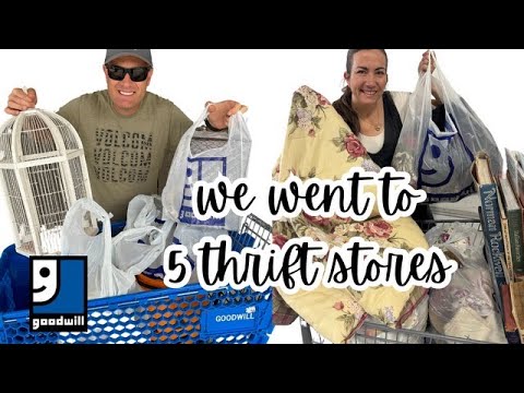 Goodwill Bins Thrifting For Resell - Home Decor and Antiques