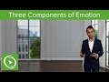 Components of Emotion in Scenarios