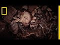 Classical Greece and the Neolithic Era