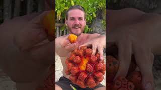 3 Fruits That Will Change the Way You See Fruit