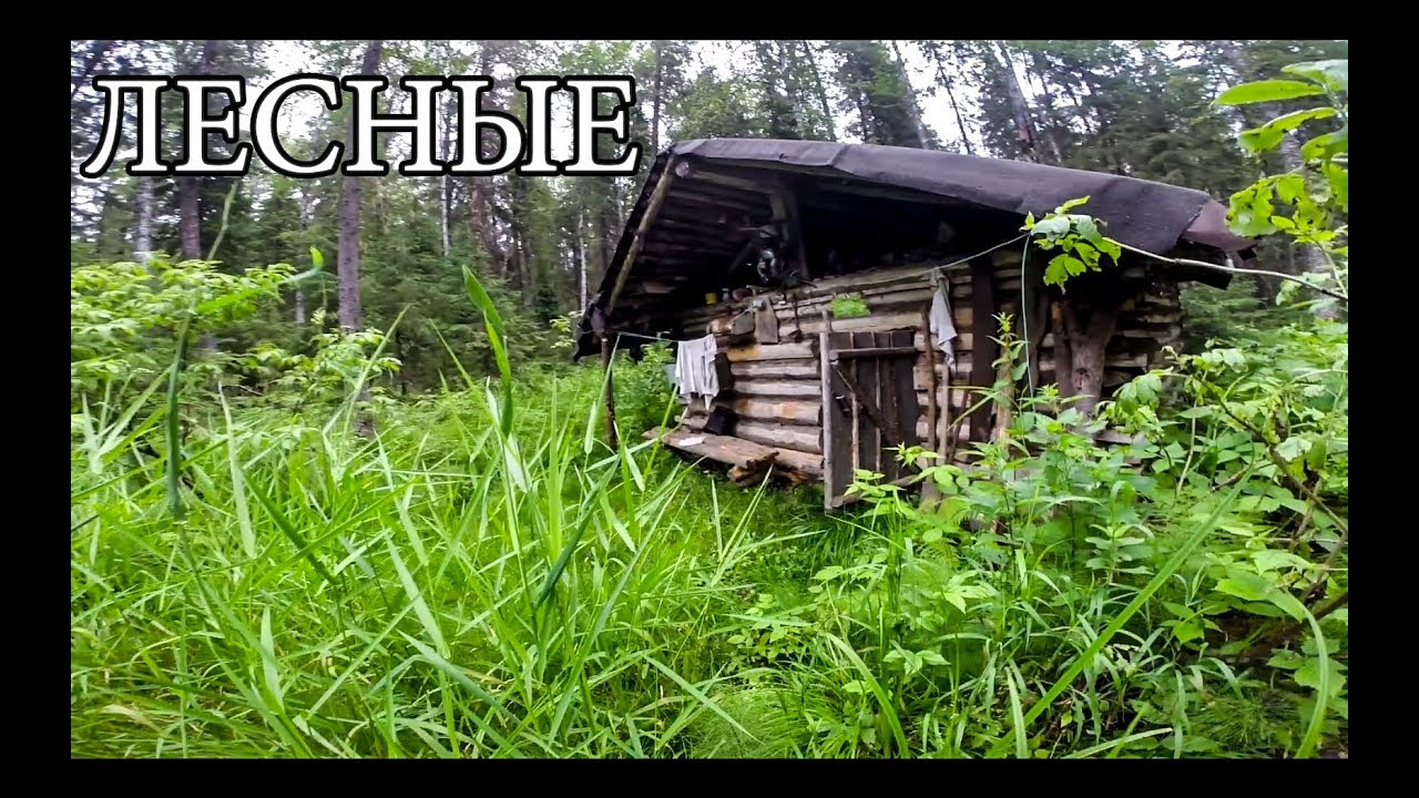 Лесная изба (20 лет cпустя) новая печь и крыша, рыбалка на дикой реке (+18)