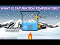 Refrigerant States and Saturation Concepts