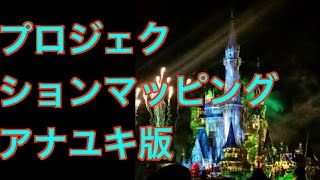 ディズニーランド、冬バージョン、プロジェクションマッピング