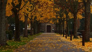 𝗝𝗮𝘇𝘇 𝗣𝗶𝗮𝗻𝗼 l 여유와 행복이 비례하는, 주말 가을아침🍂