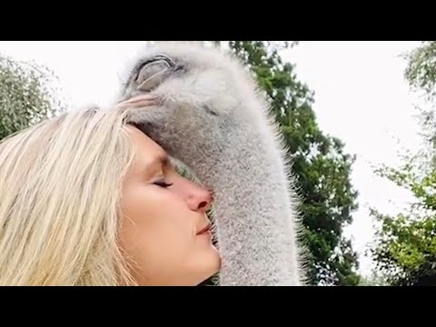 Animals and Humans Sharing a Deep Connection