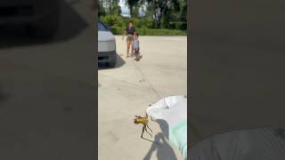 He never leaves us alone! *hilarious* #shorts