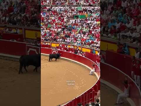 Precioso Detalle Al Estrivo Del Campeón De Pamplona 2025 David Ramírez “ElPeque” #shorts