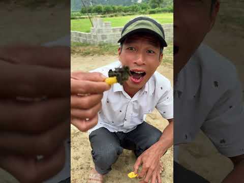 Bác Triệu Mukbang Bim Bim “Súc Vật” Cực Hài
