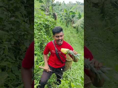 ওরে মাইয়া মানুষ ভালো না Pahari Manush