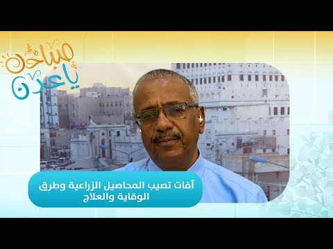 صباحك ياعدن | حماية المحاصيل الزراعية.. دليل شامل لأسباب الأمراض وطرق مكافحتها