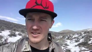 Shed Hunting 2016 Awesome Early Season Shed Hunting