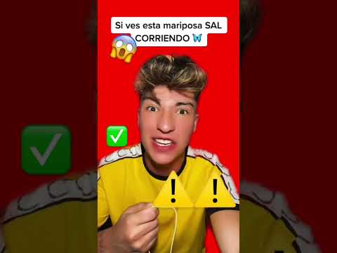 La mariposa más GRANDE