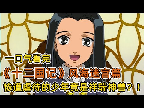 少年遭虐待後失蹤一年，回家喪失記憶？！靠近他的人全都被詛咒殺死，但其真實身份卻是傳說中的祥瑞神獸？！一口氣看完《十二國記》风海迷宫篇！