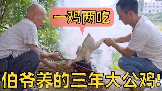 伯爷“忍痛割爱”大公鸡，这么好的食材必须做个“一鸡两吃”