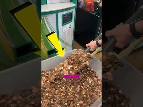 ELE TROCOU SUAS MOEDAS QUE JUNTOU POR DECADAS ๐ฑโค๏ธ