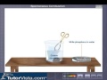 White Phosphorus Combustion Experiment