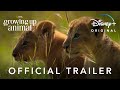 Growing Up Animal Series Overview