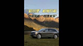 新能源抢BBA近半市场，“蔚小理”格局生变，“特理米乐”逆市