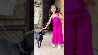 amaira n dog ko bread de di #thegeetagurjar #shorts