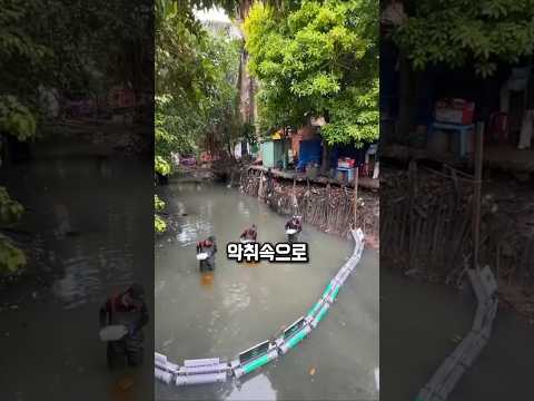 악취나는 죽음의 수로에 뛰어든 사람들... 아무도 몰랐던 이유 🕊️