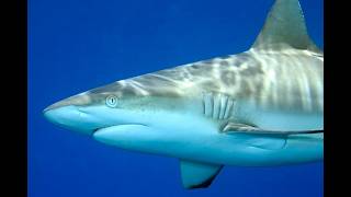 Update to the Udate before the Update to the Update to the Update