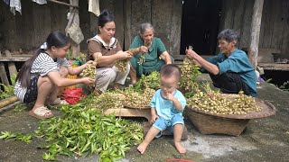Picking Wild Fruits with Dad | Going to the Country Market, Cooking Homemade Dishes | Lý Thị Ca