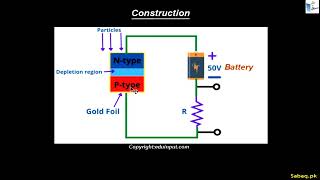Solid State Detector