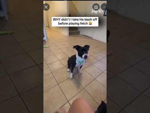 Meme of the day #memes #memeoftheweek #funny #funnypictures #meme #memeoftheday