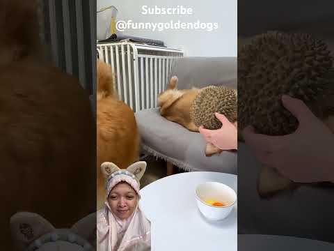 Pakai helm dulu ❗️