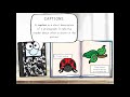 Exploring Nonfiction Text Features