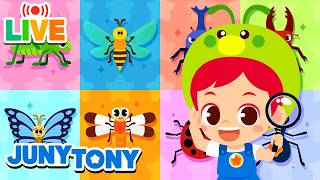 🔴LIVE! | It's a Bug's World 🐛 | Small But Mighty Insects | Bugs Songs Compilation | JunyTony